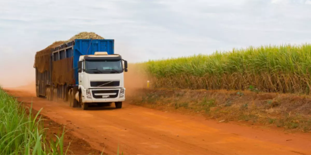A foto mostra uma carreta da Ipiranga Agroindustrial