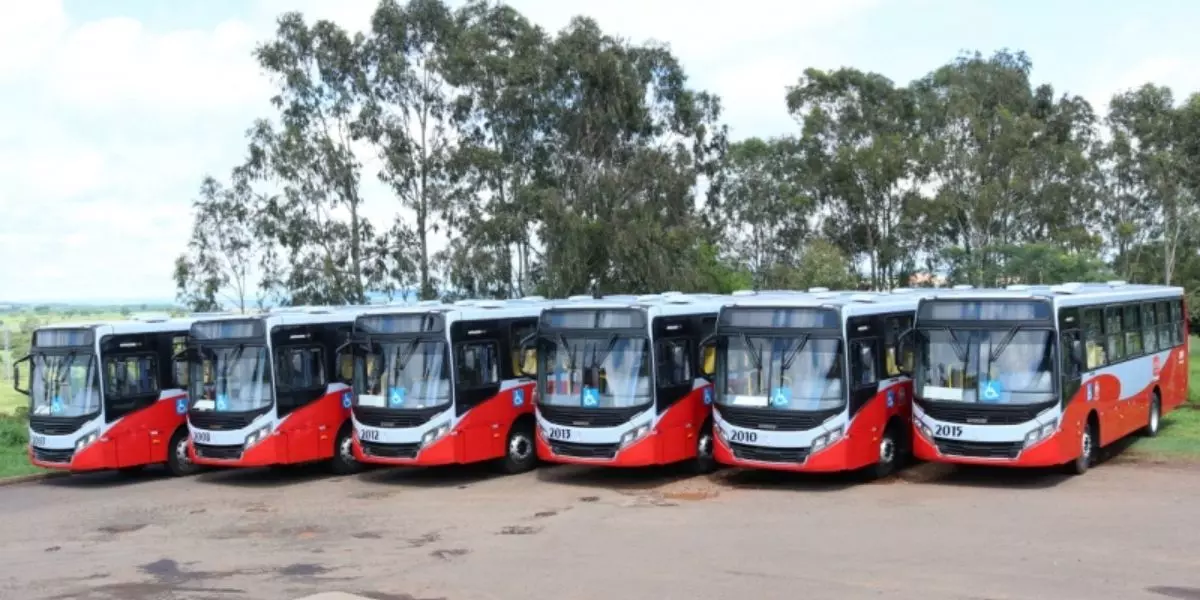 A foto mostra uma frota de ônibus da Viação Sorriso de Marília