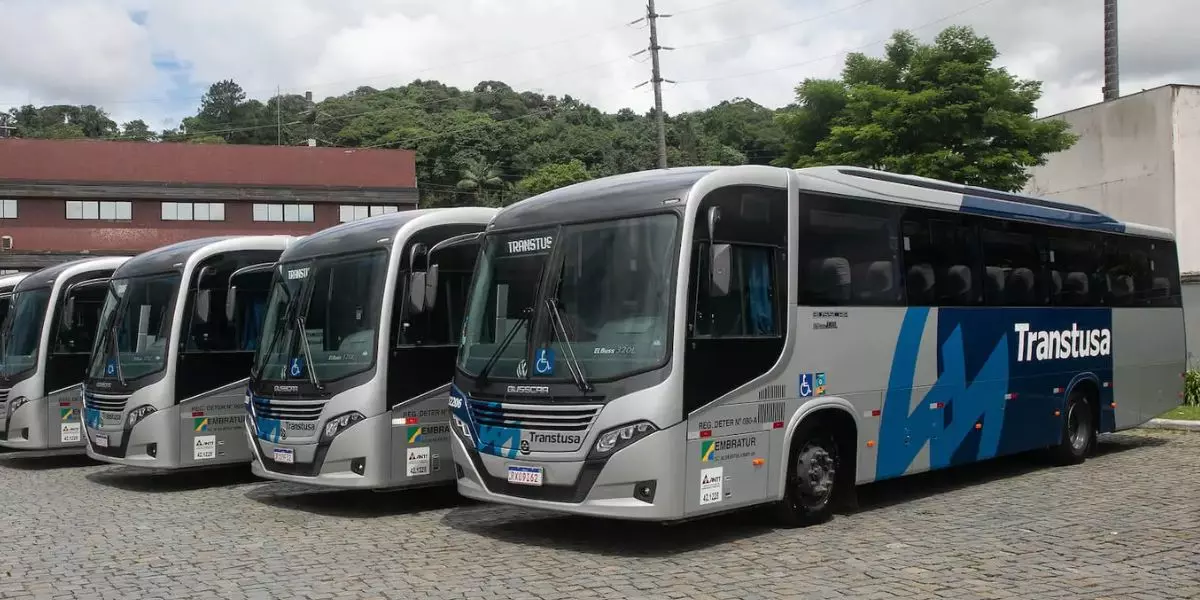 A foto mostra uma frota de ônibus da Transtusa