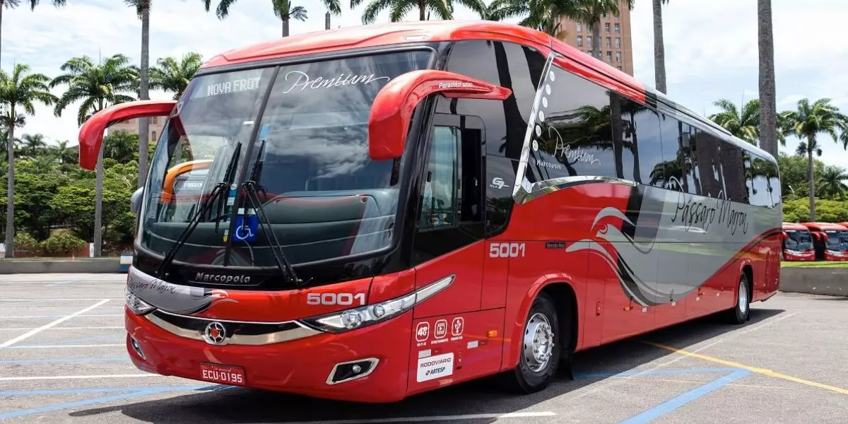 A foto mostra um ônibus da Pássaro Marron