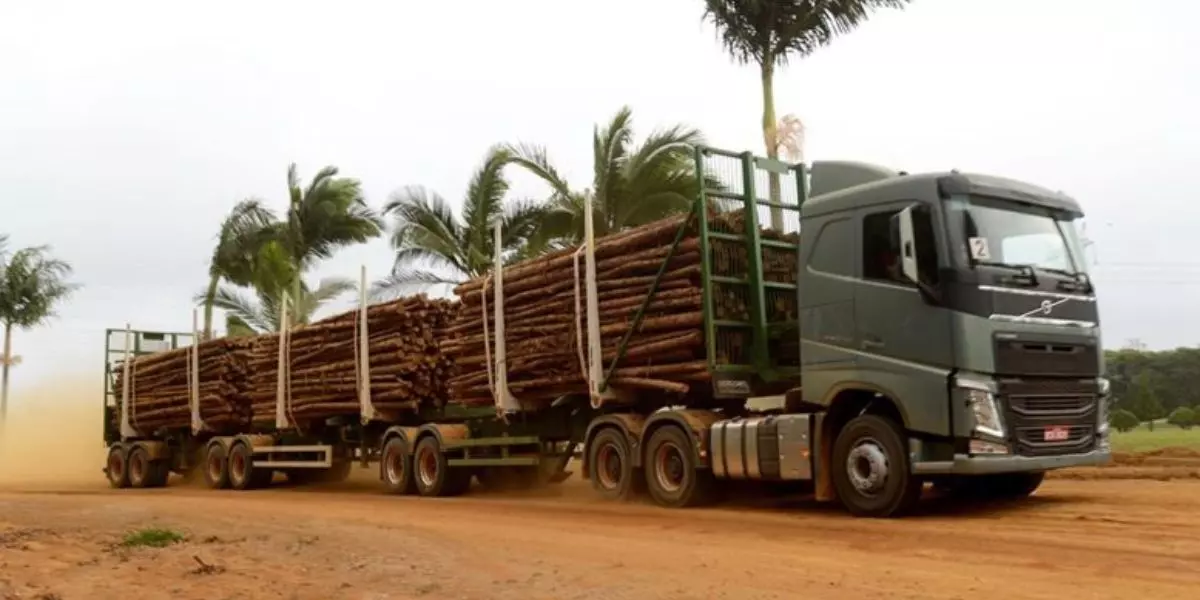 Caminhão Florestal Grupo Maringá