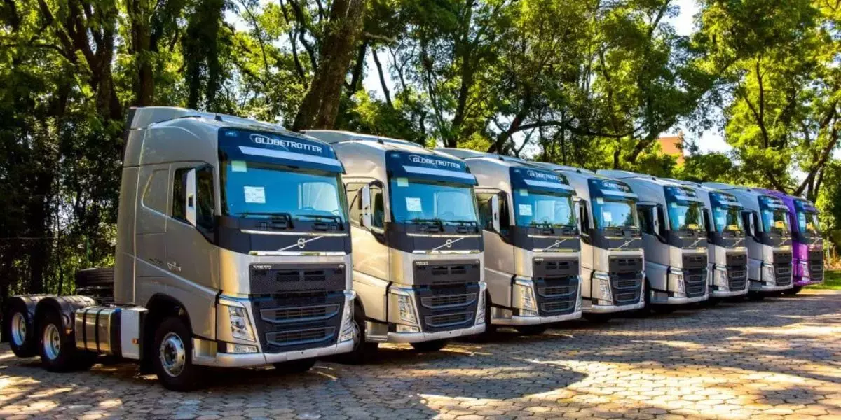 A foto mostra uma frota de caminhões da Lotrans
