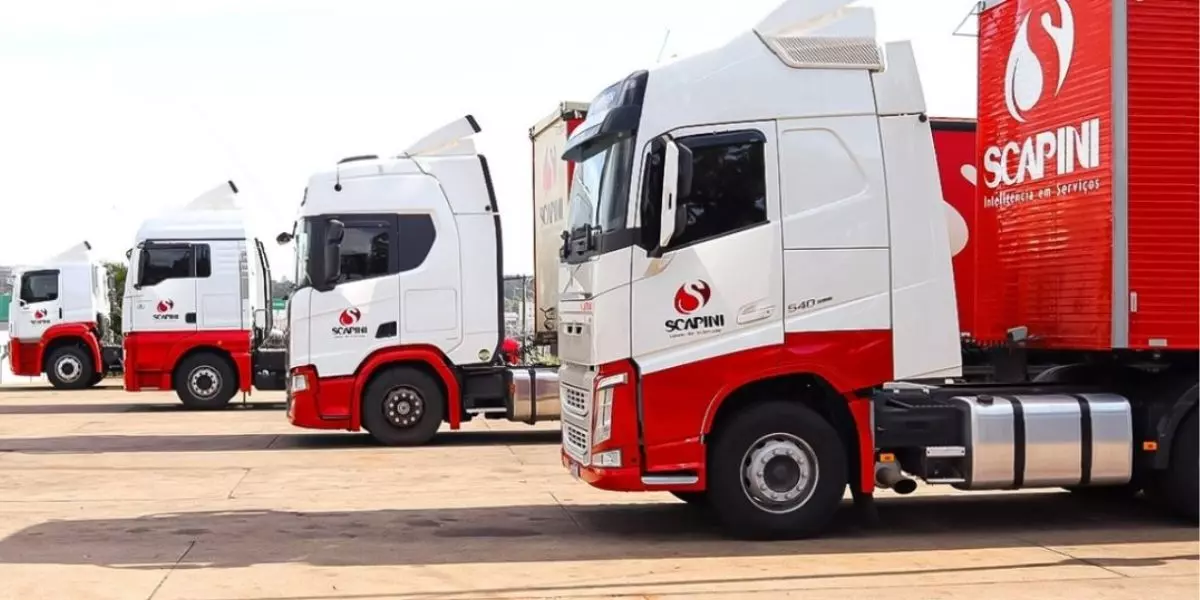 A foto mostra uma frota de carretas da Scapini Transportes