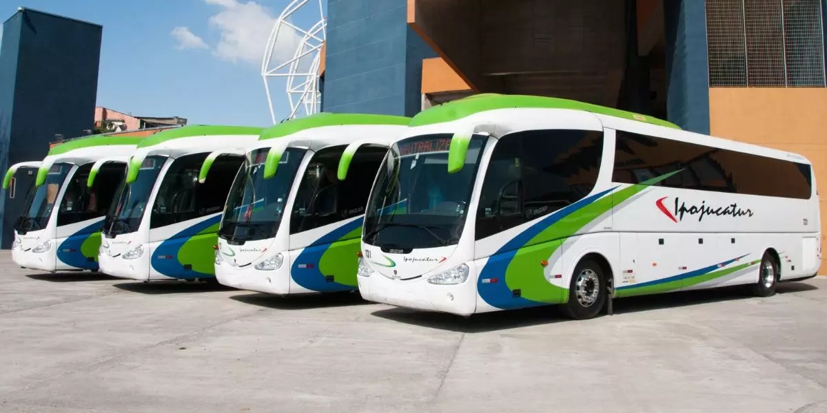 A foto mostra uma frota de ônibus da Ipojucatur