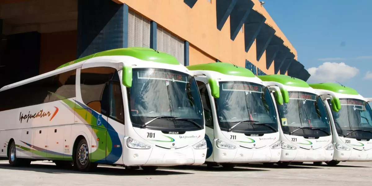 A foto mostra uma frota de ônibus da Ipojucatur