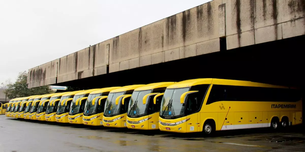 A foto mostra uma frota de ônibus da Nova Itapemirim