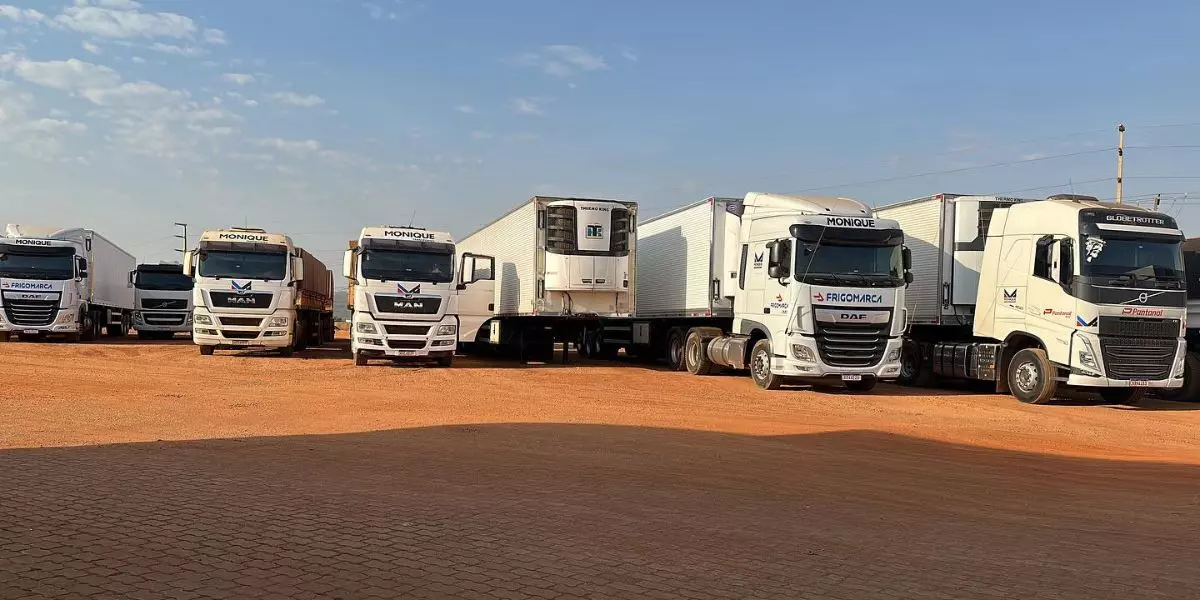 A foto mostra uma frota da Transportes Monique