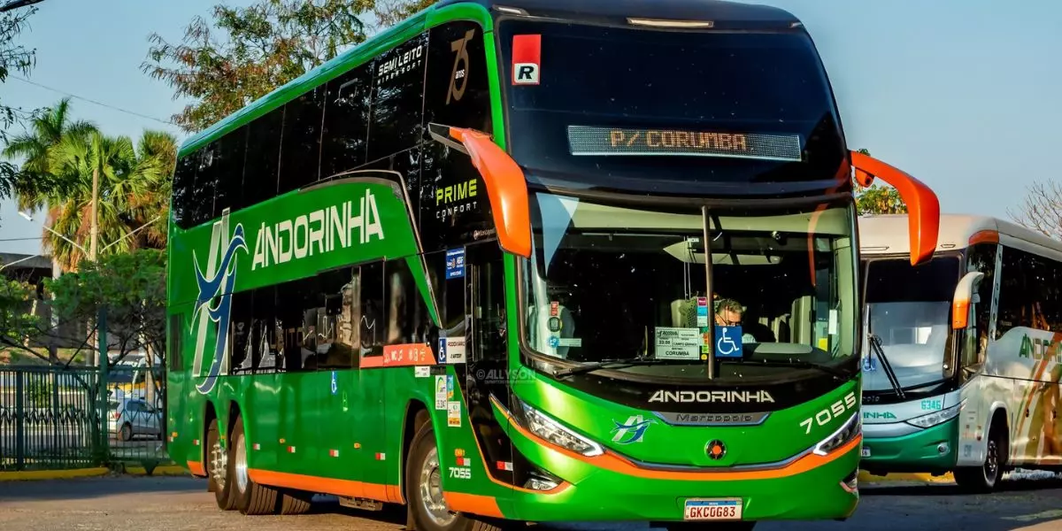 A foto mostra dois ônibus da empresa Andorinha