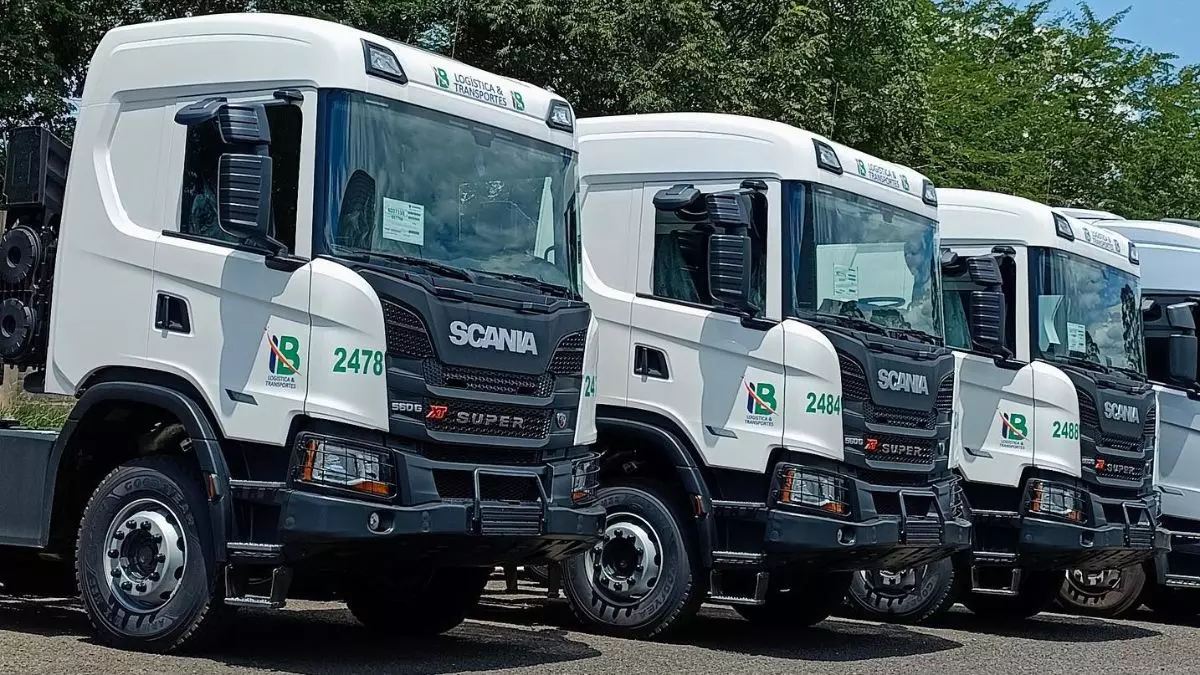 A foto mostra uma frota de caminhões canavieiros da IB Logística e Transportes