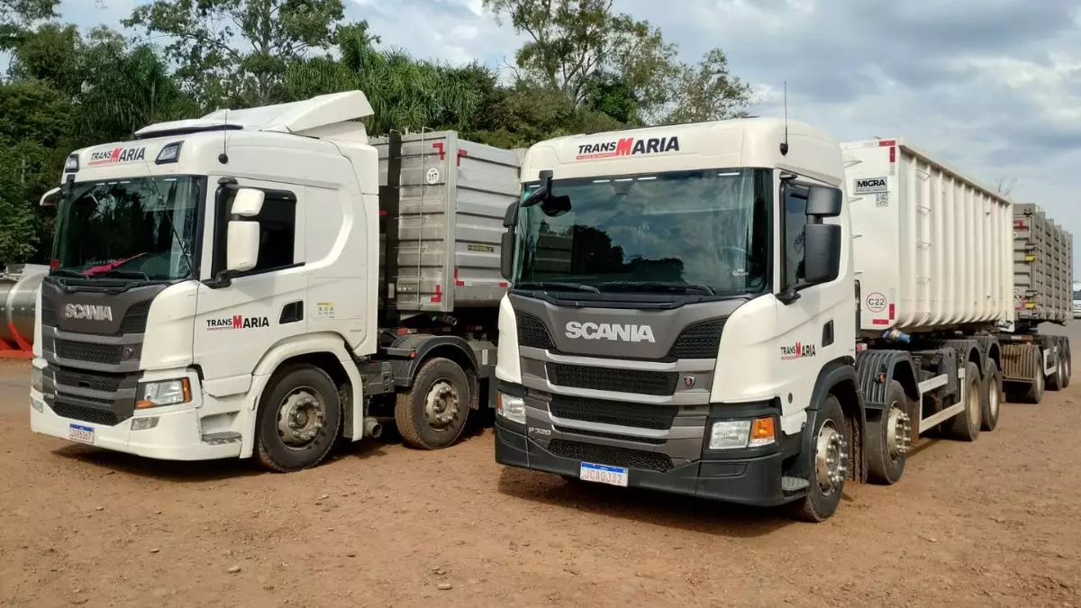 A foto mostra uma frota de carretas da TransMaria
