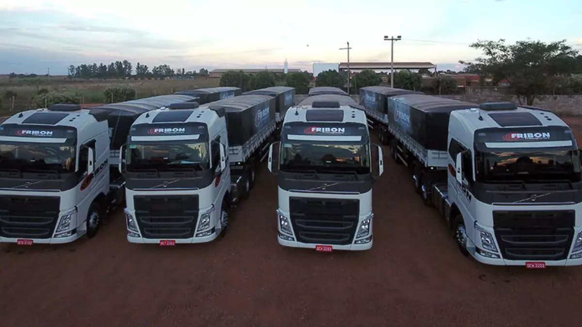 Frota da empresa Fribon Transportes