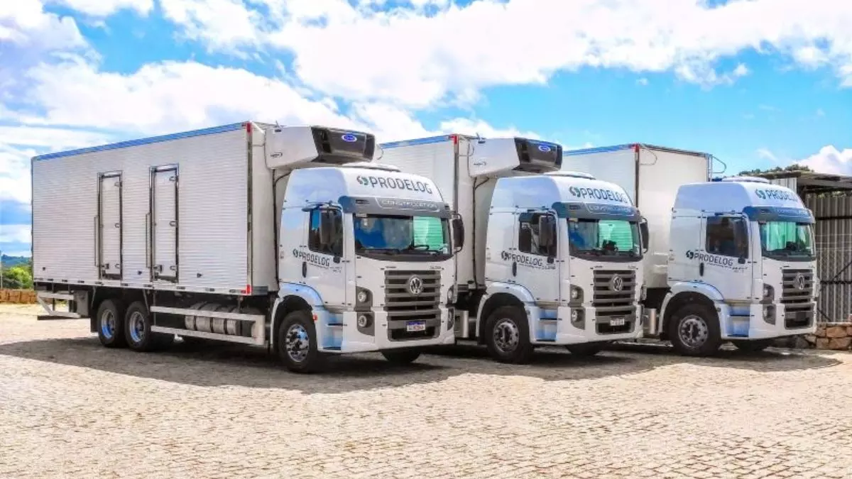 A foto mostra uma frota de Truck da Prodelog Transportes