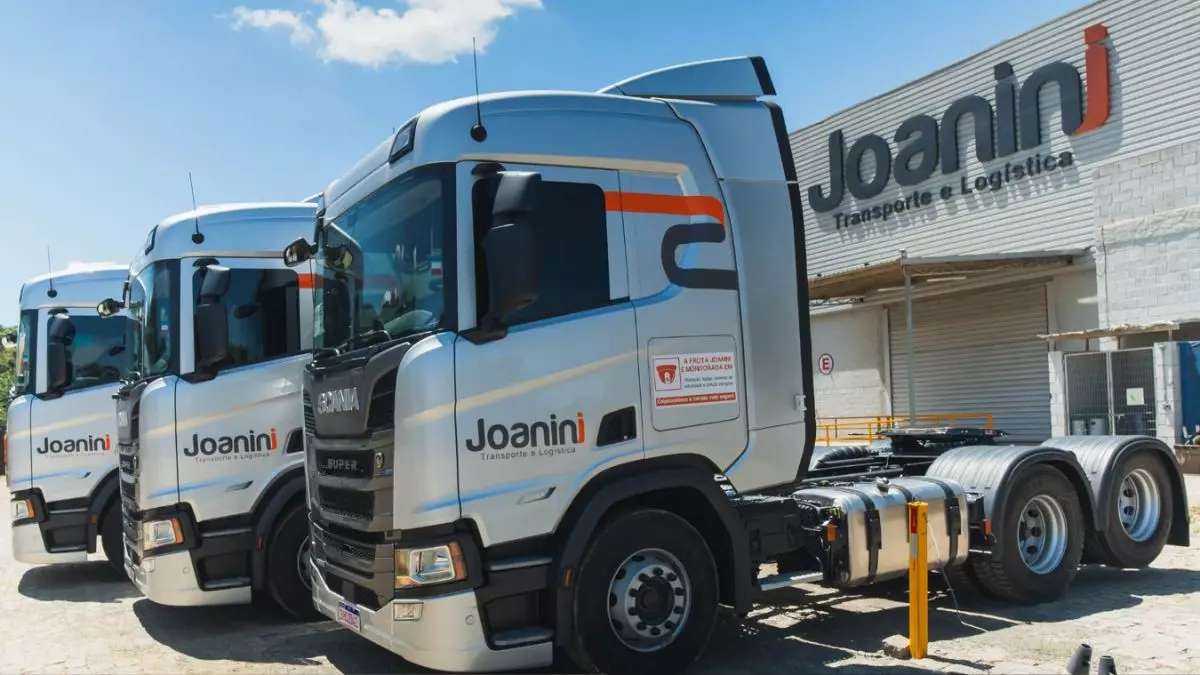 A foto mostra uma frota de caminhões da Joanini Transporte