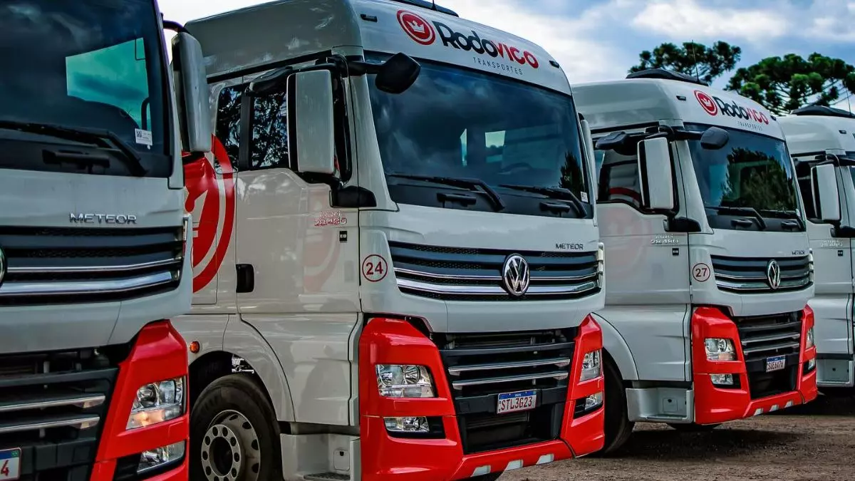 A foto mostra uma frota de caminhões da Rodovico Transportes