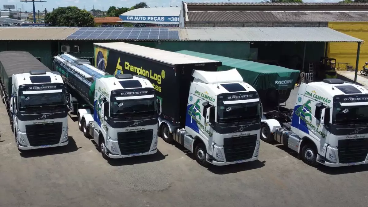 A foto mostra uma frota de caminhões da Champion Log