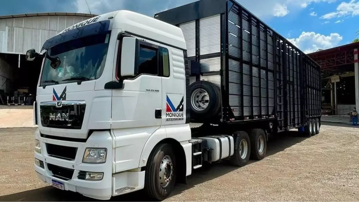 A foto mostra uma carreta boiadeira da Transportes Monique