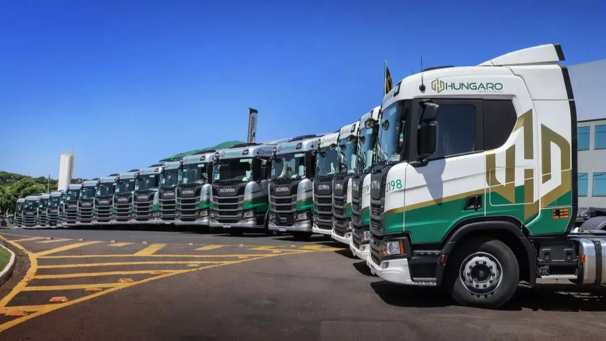 A foto mostra uma frota de caminhões da Hungaro Transportes