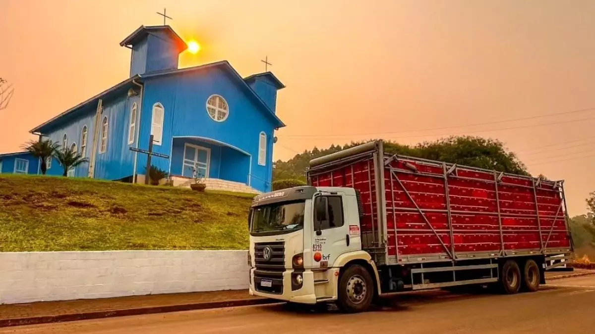 A foto mostra um caminhão da Lilian Transportes