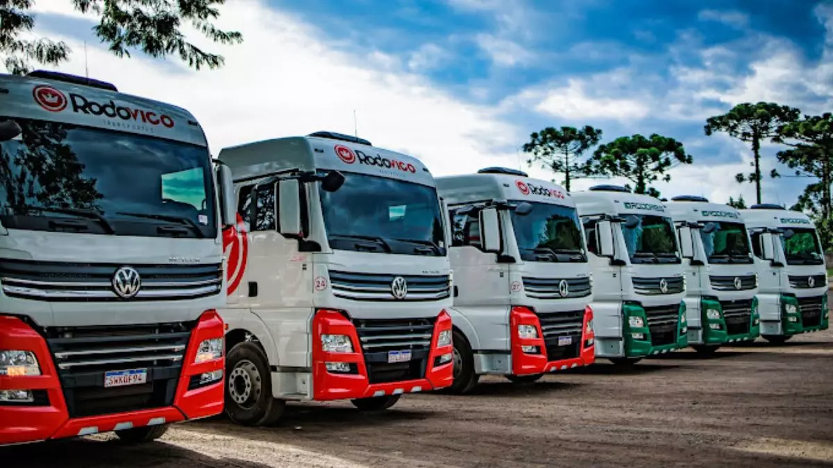A foto mostra uma frota de caminhões da Rodovico Transportes