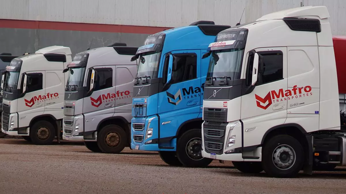 A foto mostra uma frota de caminhões da Mafro Transportes