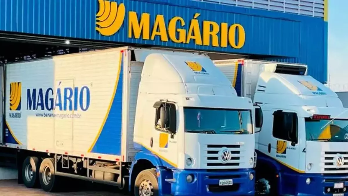 A foto mostra dois caminhões da Bananas Magário.