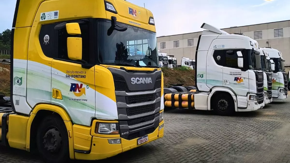 A foto mostra uma frota de caminhões da RN Logística
