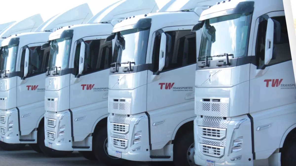 A foto mostra uma frota de caminhões da TW Transportes