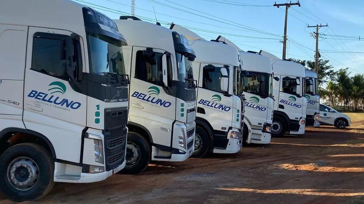 A foto mostra uma frota da Belluno Logística