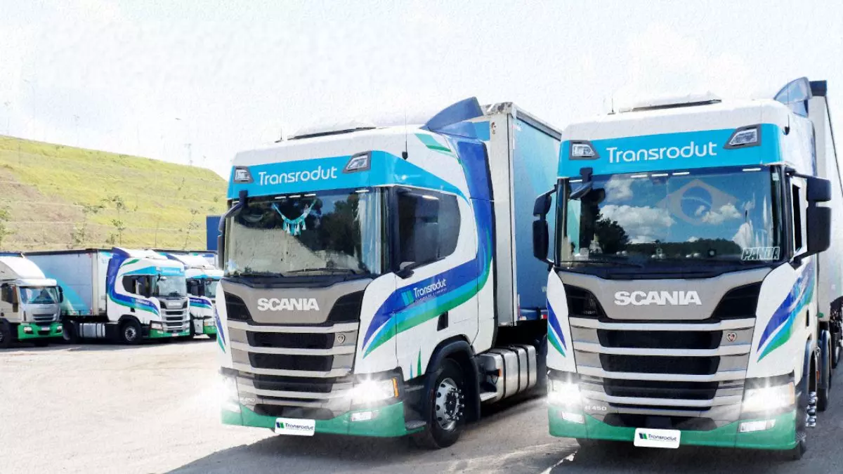 A foto mostra uma frota de caminhões da Transrodut