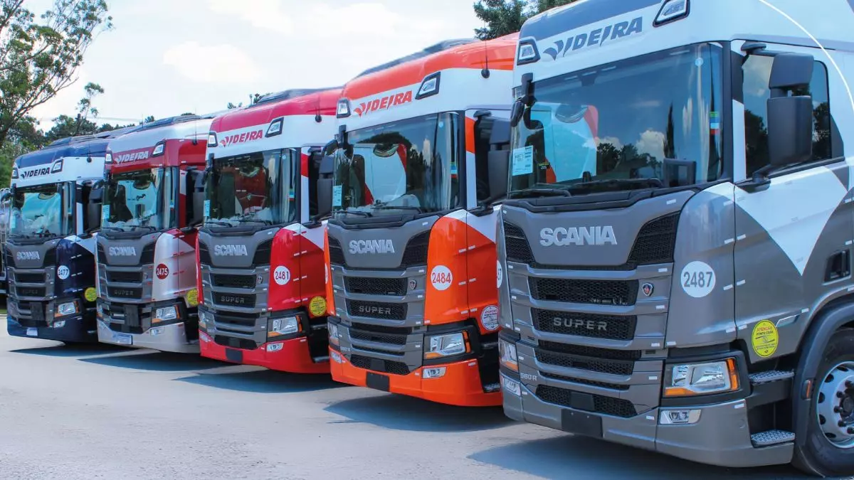 A foto mostra uma frota de caminhões da Videira Transportes