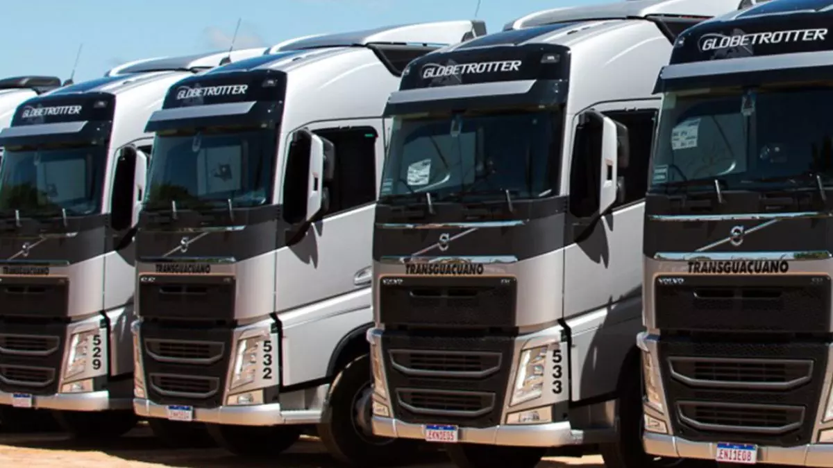 A foto mostra uma frota de caminhões da Transguaçuano