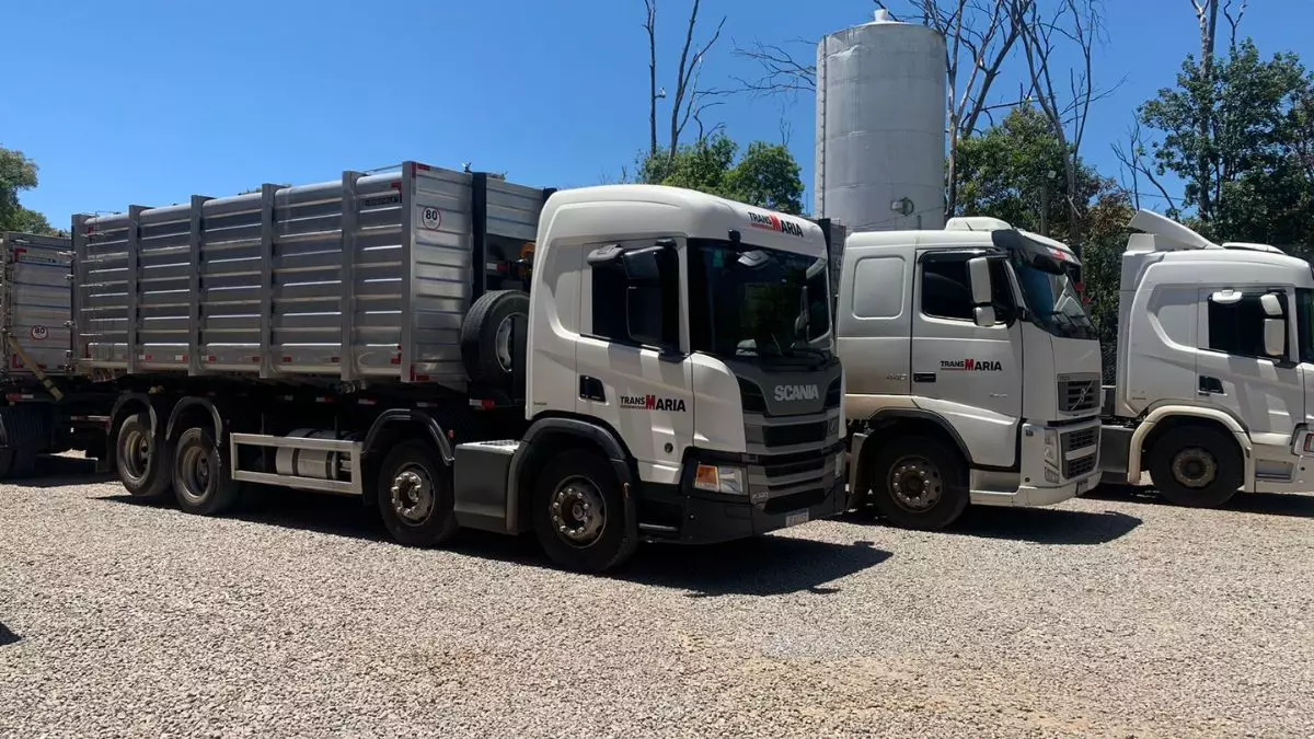 A foto mostra uma frota de caminhões da Transmaria