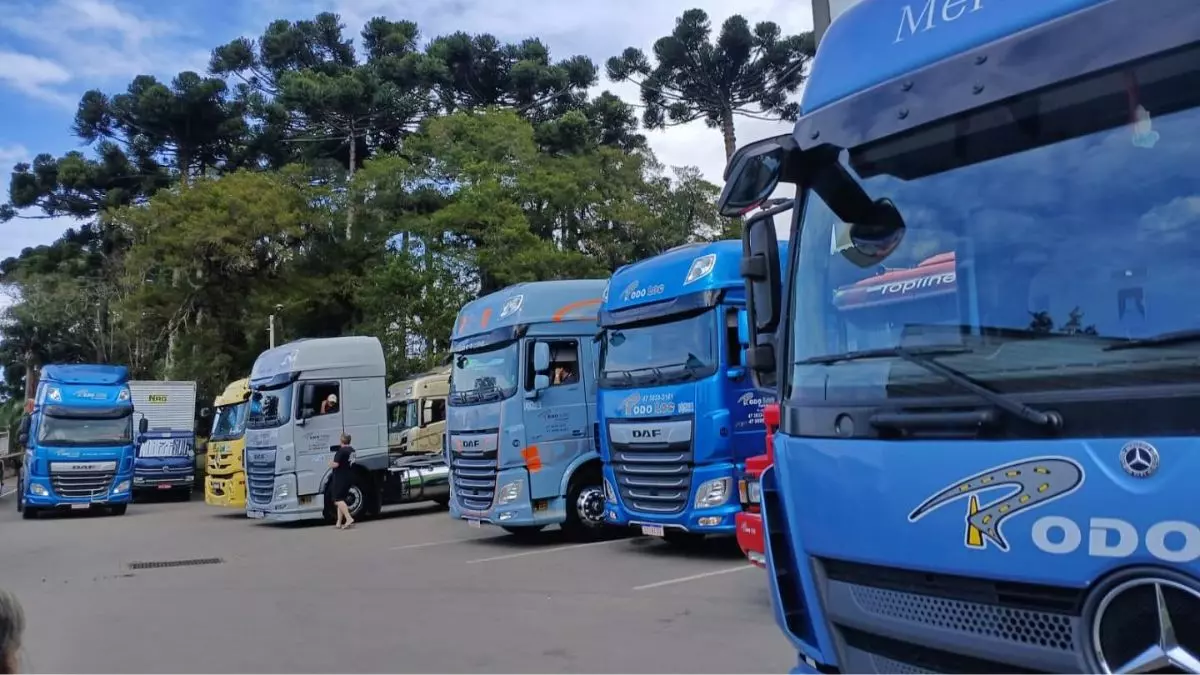 A foto mostra uma frota da Rodolog Transportes
