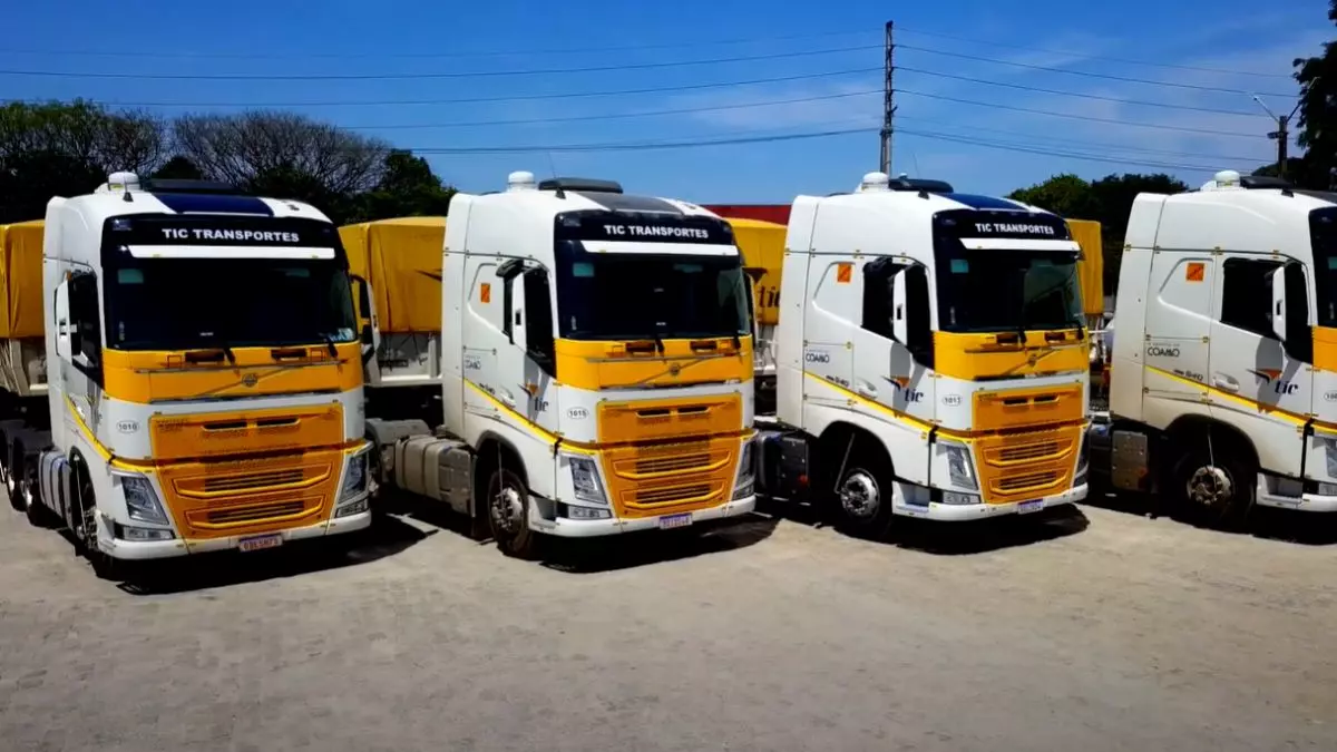 A foto mostra uma frota de caminhões da Tic Transportes