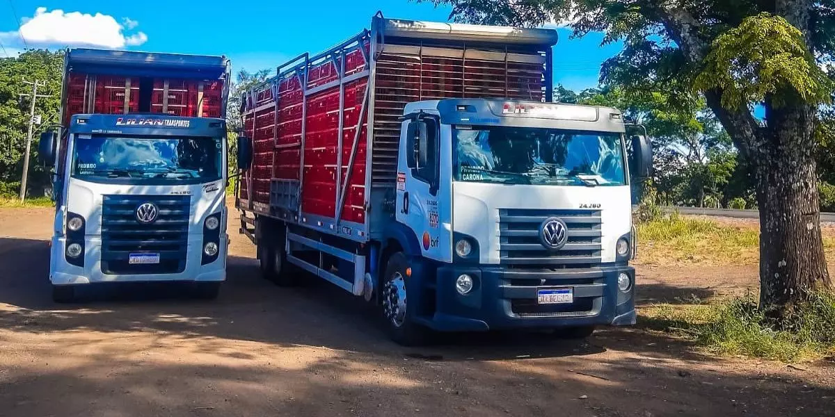 A foto mostra dois caminhões da Lilian Transportes