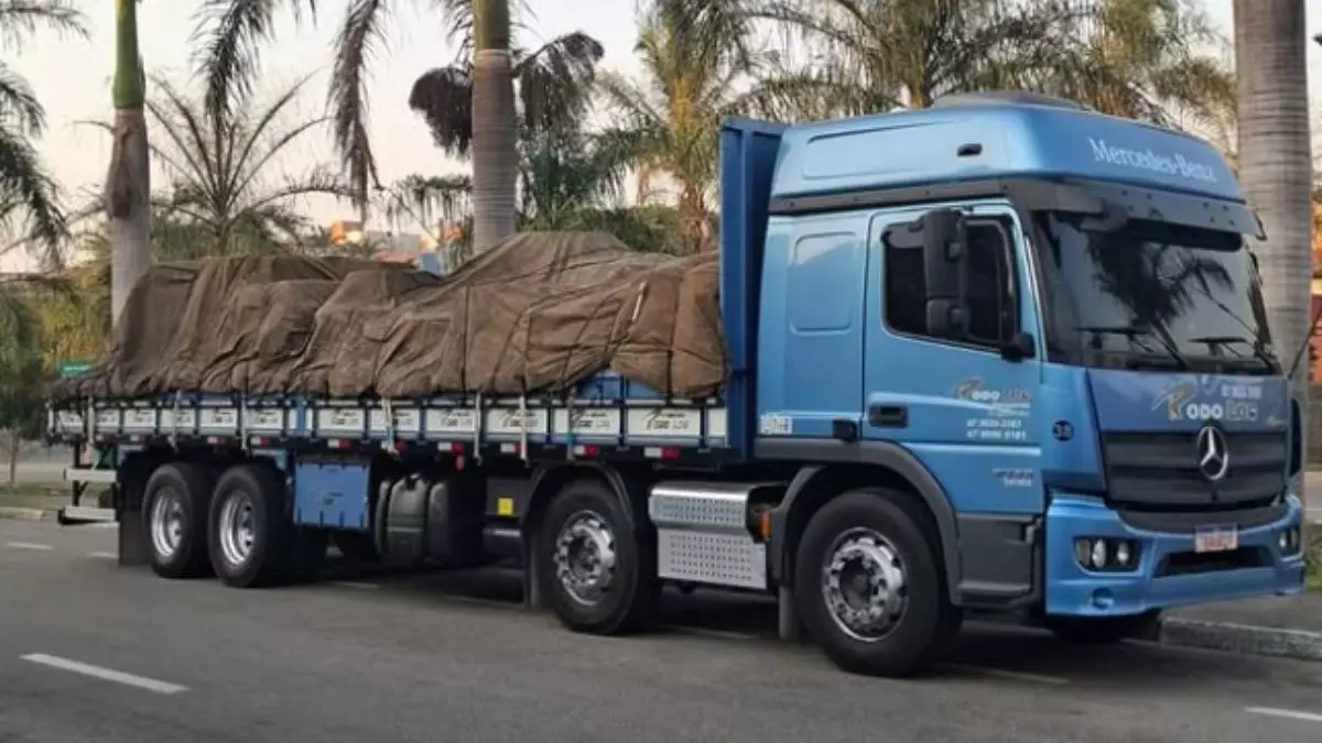 A foto mostra um truck da Rodolog Transportes