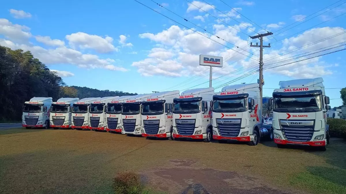 A foto mostra uma frota de caminhões da Dal Santo Logística