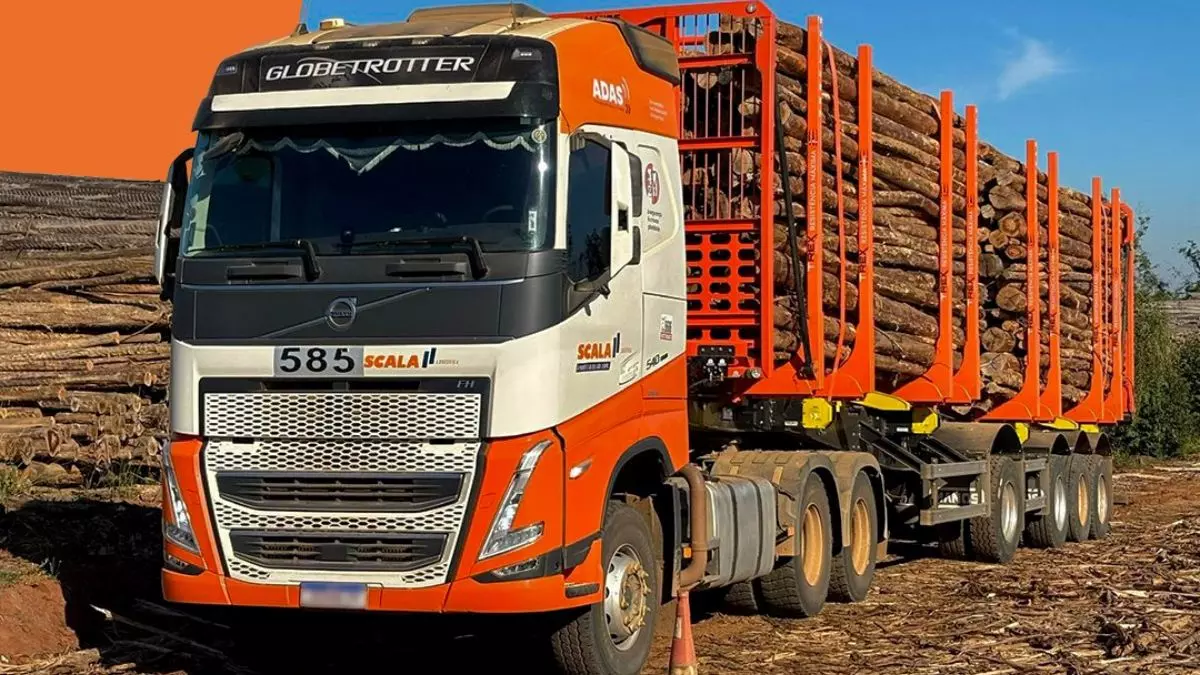 A foto mostra um bitrem florestal da Scala Logística