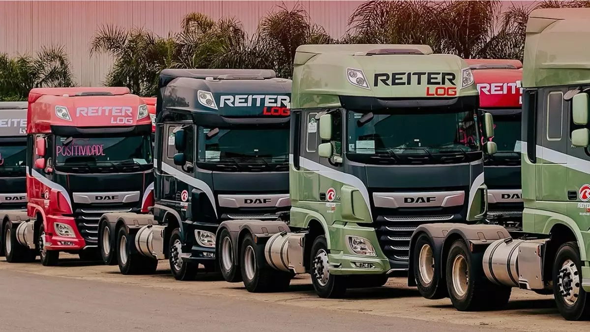 A foto mostra uma frota de caminhões da Reiter Transportes
