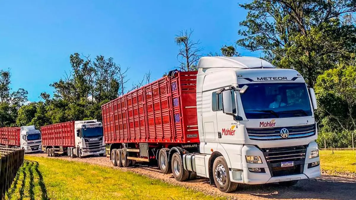 A foto mostra uma frota de carretas da Transportes Mahler