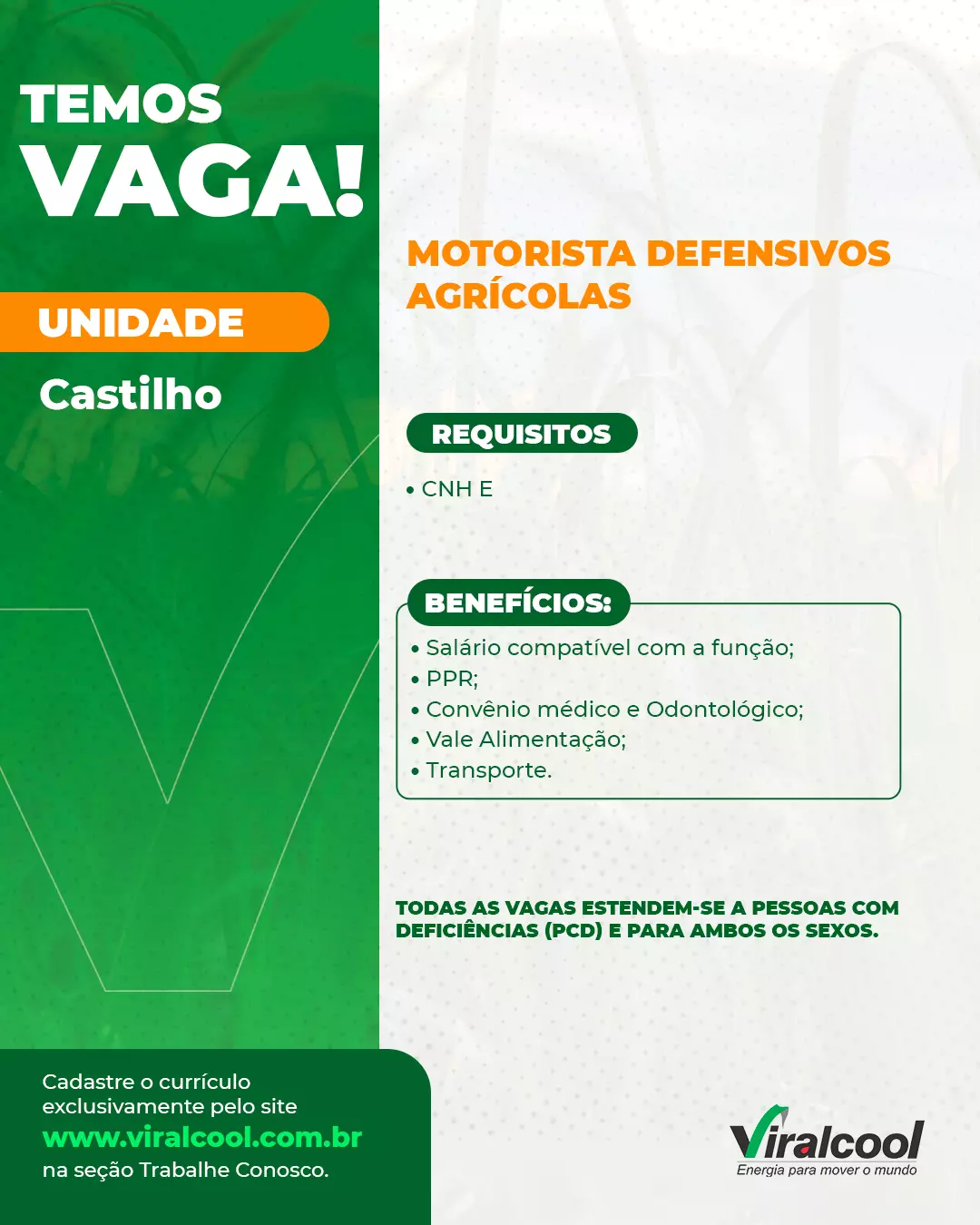 A foto mostra um caminhão da Viralcool