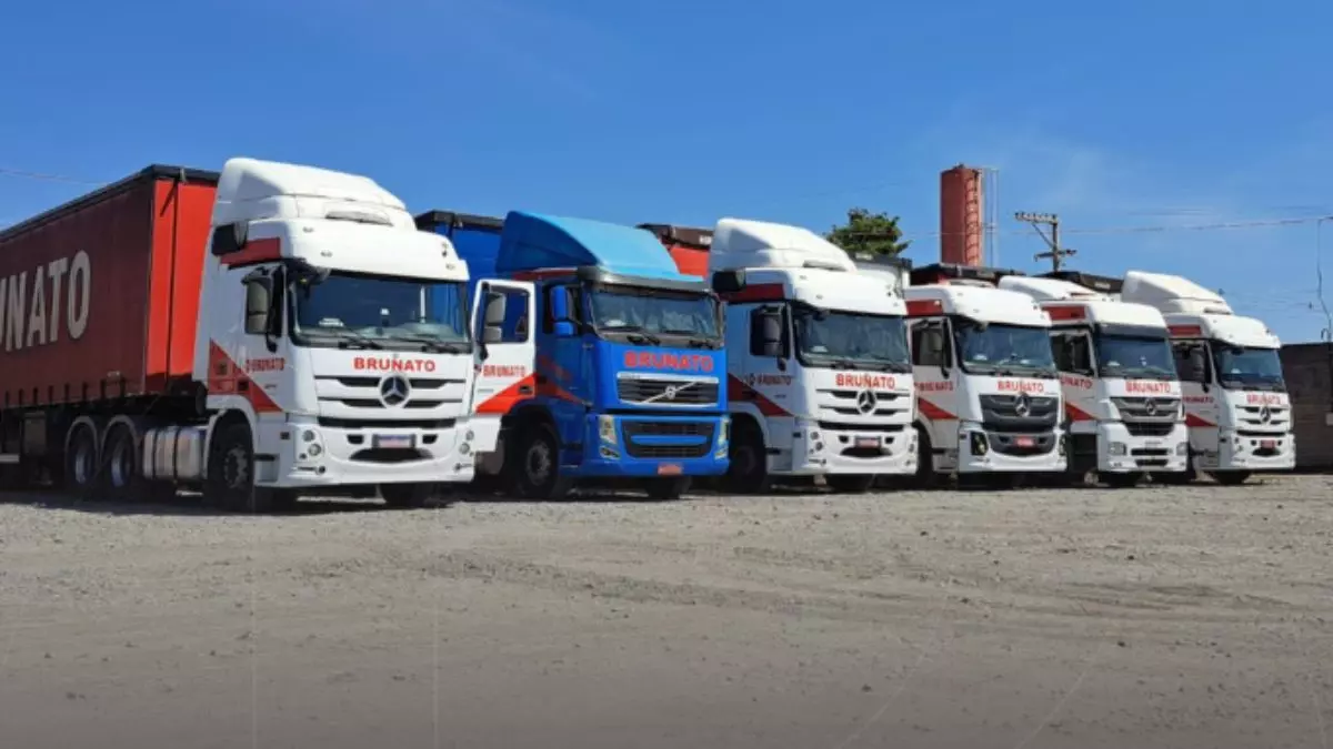 A foto mostra uma frota de caminhões da Transportes Brunato