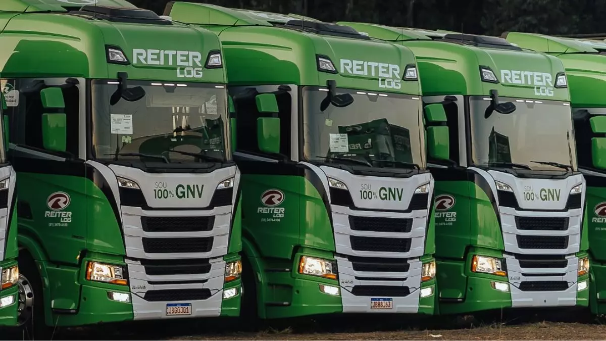 A foto mostra uma frota de caminhões da Reiter Log