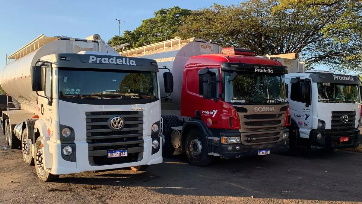 A foto mostra uma frota de caminhões da Pradella Transportes