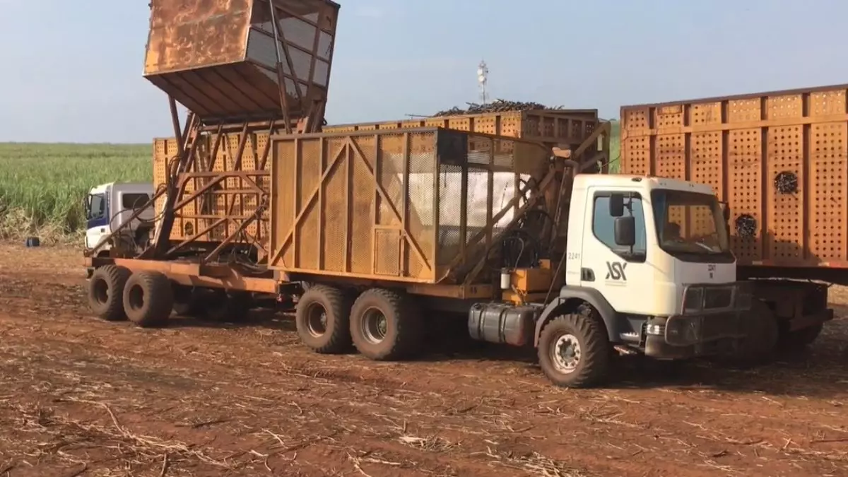 A foto mostra um caminhão da Usina Santa Adélia