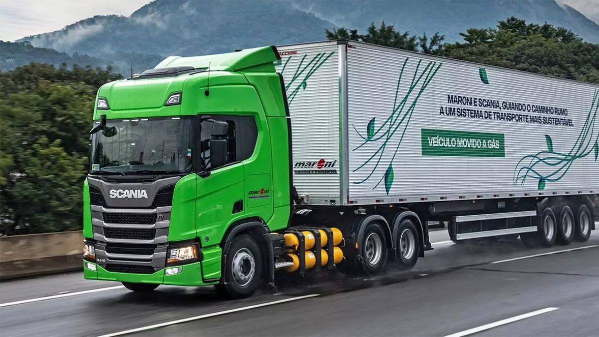 Grupo Maroni Brasil anuncia novas vagas para motoristas em seleção presencial