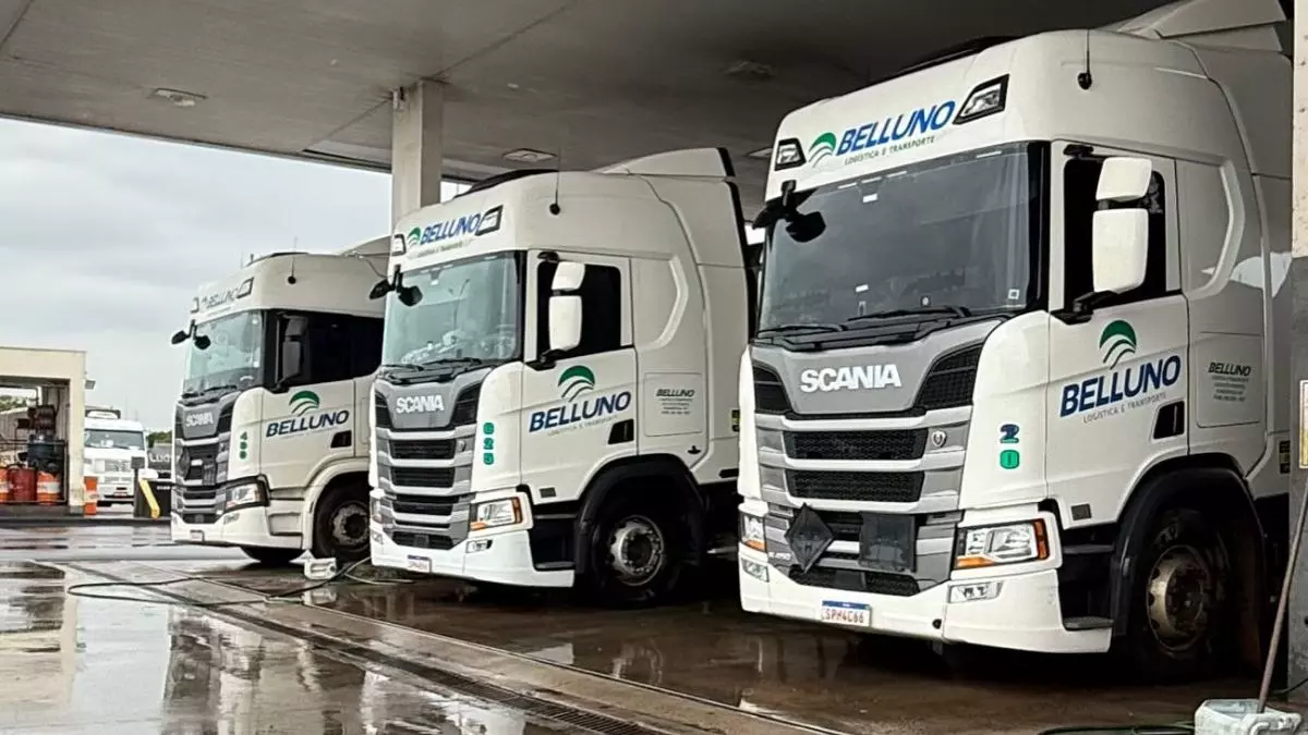 A foto mostra uma frota da Belluno Logística