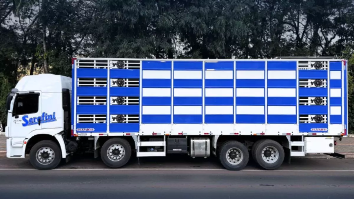 Agrosuínos Serafini anuncia contratação de motorista truck