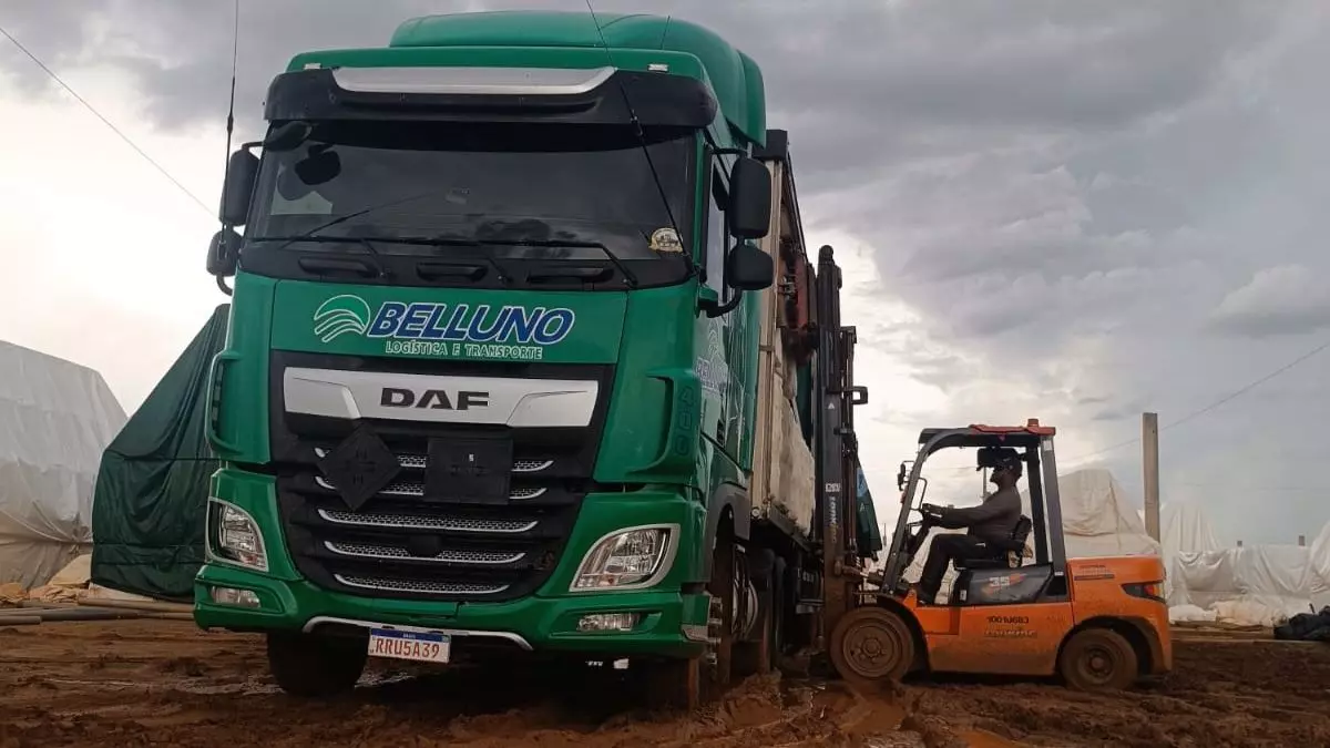 A foto mostra uma carreta verde da Belluno Logística