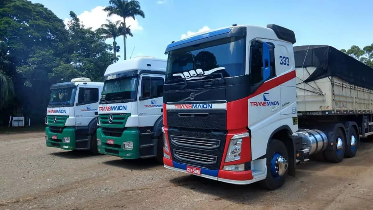 A foto mostra uma frota da Transmaion